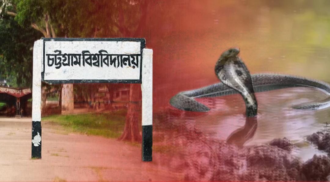 ছাত্রী হলে আতঙ্কের মধ্যেই সাপে কাটলো চট্টগ্রাম বিশ্ববিদ্যালয়ে এক ছাত্রকে