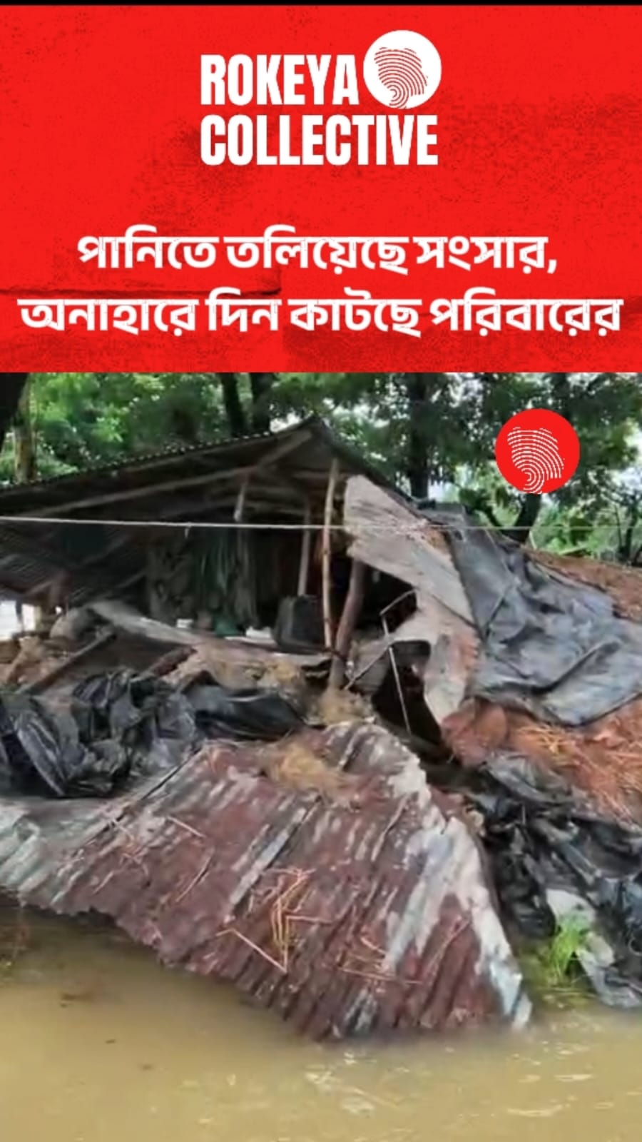 বন্যা পরিস্থিতি: পানিতে তলিয়েছে সংসার, অনাহারে দিন কাটছে পরিবারের